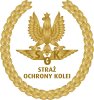logo-sok-nowe