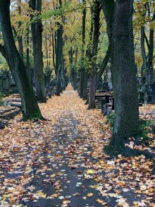 Spacer po Starych Powązkach - Z Reymontem w tle