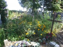 Kwatera grobów pensjonariuszy Domu Wysłużonego Kolejarza w Milanówku, Żuków 2017